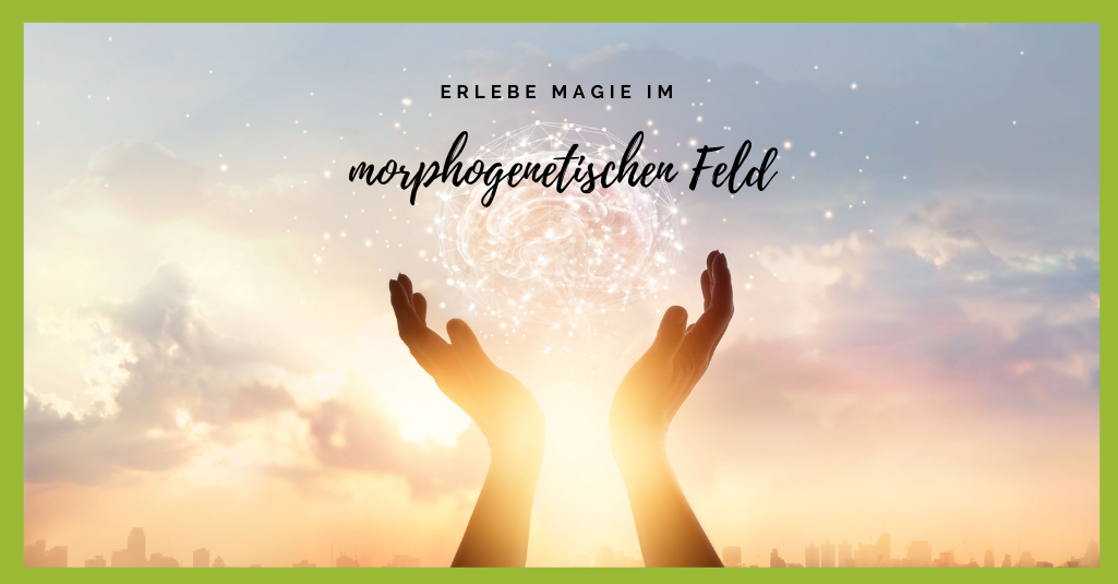 Erlebe Magie