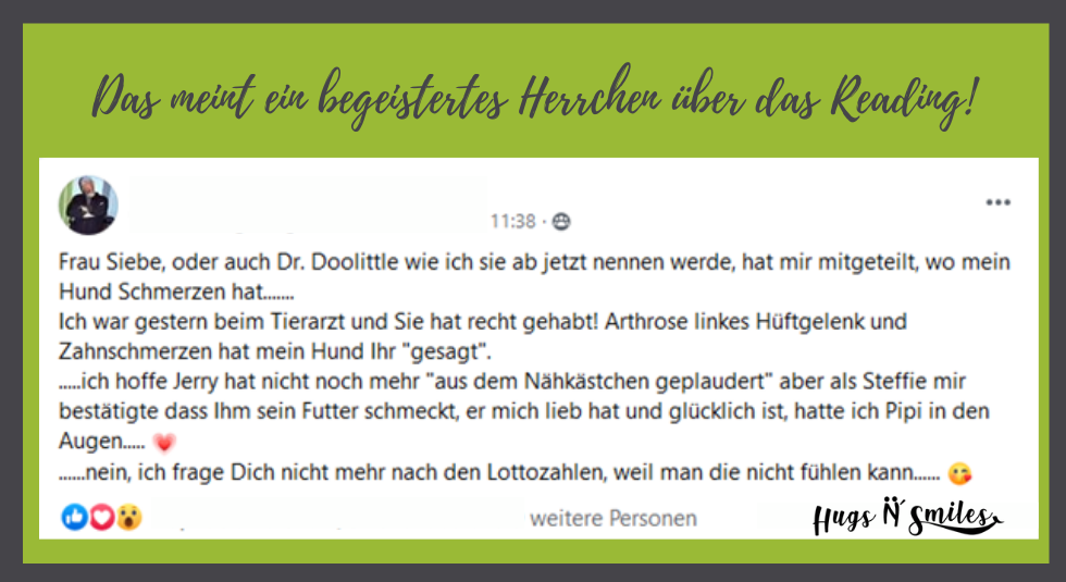Feedback Hund