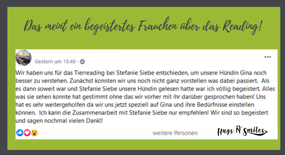 Feedback Hund 1