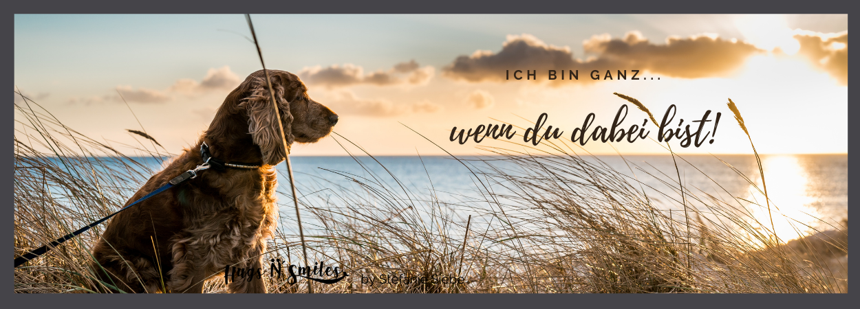 Hund und Meer