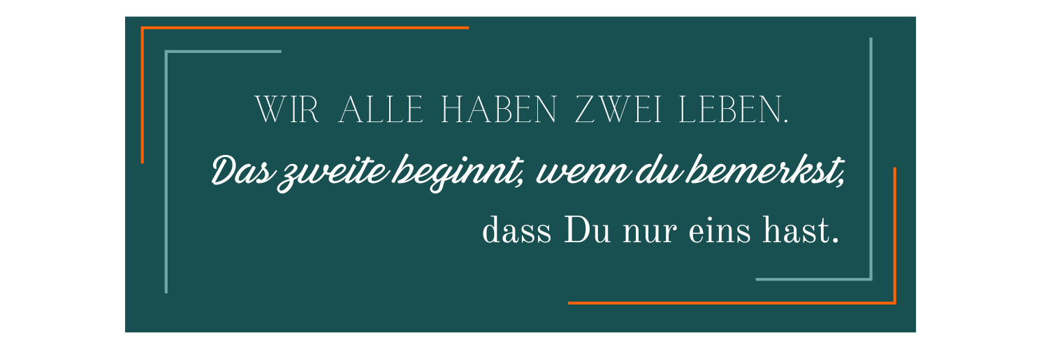 Wordpress Beitrag (1500 × 900 px) (1500 × 500 px) (5)